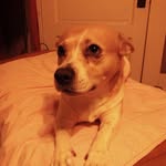 Jerome Gary - @jerome.gary.355 - Instagram