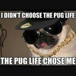 jeromegleasone - @im_the_beast_for_life_443 - Instagram