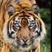 Shem Grayson - Facebook