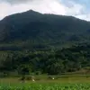 jerome hay - @jerome.hay4 - TikTok