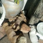 Jerome Hendricks - @jerome.hendricks.967 - Instagram