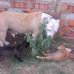 Jerome Hendricks - Facebook