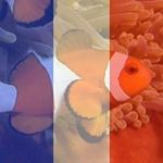 Jerome Herman - @snake62700 - Instagram