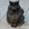 jeromehoffman731 - @jeromehoffman731 - TikTok