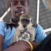 joe - @jeromehuggins - TikTok