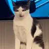 Jeromehunt - @jeromehunt03 - TikTok