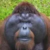 Jerome joe - @jerome.joe - TikTok