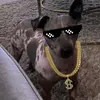 JeromeJoe - @jeromejoe19 - TikTok
