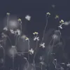 joejerome.2_3.1994 - @joejerome.2_3.1994 - TikTok