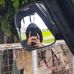 Jerome Lee - Facebook