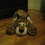 Jerome-Lee - @jeje_duri - Instagram