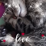 Jerome Lefebvre - @jerome.lefebvre.125 - Instagram