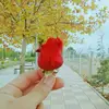 jeromelehr - @jeromelehr - TikTok