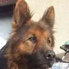 Jerome Leroy - @jerome.leroy60 - TikTok