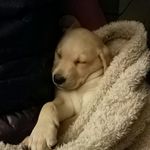Jerome Lettuce - @lettucejerome - Instagram