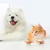jerome li - @jerome.li1 - TikTok