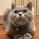 Jerome Liang - @jerome_021802 - Instagram