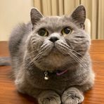 Jerome Liang - Facebook