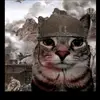 Jerome Lim - @jerome.lim826 - TikTok