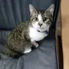 Jérôme Linda - @jeromelinda - TikTok