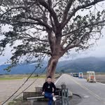 JiaRong Liu - @jerome__liu - Instagram