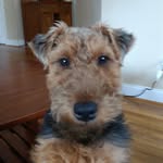 Jerome Lorenz - @jclorenz1963 - Instagram