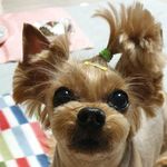 제롬  Jerome - @_jerome_love_ - Instagram