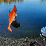 Jerome Loyer - @loyer.jerome - Instagram