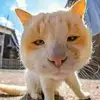 jeromeeloy - @jeromeeloy - TikTok