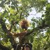 Jérôme Lutz - Facebook