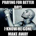Jerome Lynch - @jerome.lynch.169 - Instagram