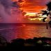 Lynn Jerome - Facebook
