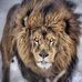Jerome Lyon - Facebook