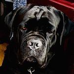 Jerome Lyons - @marcel24580 - Instagram