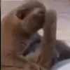 jeromemack18k - @jeromemack72 - TikTok