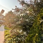 Madison jerome - @madisonjerome9436 - Instagram
