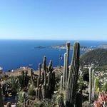 Jerome Maillard - @jerome.maillard.71 - Instagram