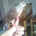 Jerome Borja Malaran - Facebook