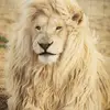 Jerome Malone - @jerome.malone5 - TikTok