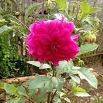 Jerome Manos - Facebook