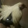 Jerome Marquez - @jerome.marquez37 - TikTok