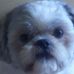 Maxie Jerome - Facebook