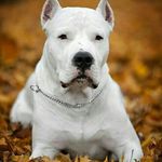 jerome Metz - @jerome.metz - Instagram