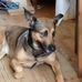 Jerome Moreau - Facebook