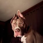 Jerome Nolan - Facebook
