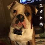 Jerome Norris - Facebook
