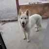 Jerome Robert - @jerome.robert4 - TikTok