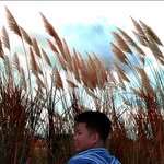 JEROME OLIVER - @fonzidx - Instagram