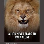 Jerome Olson - @jerome.olson.5245 - Instagram