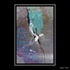 jerome page - @jeropage - TikTok